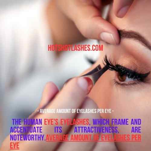 average amount of eyelashes per eye