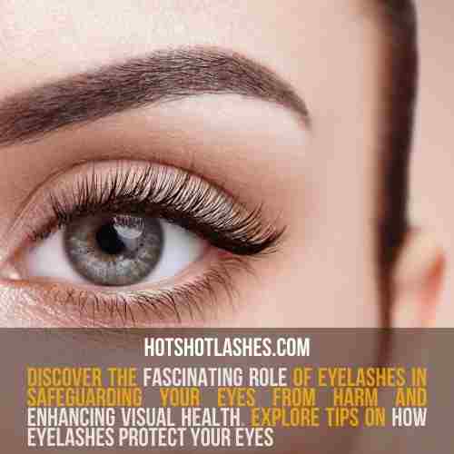 how eyelashes protect your eyes